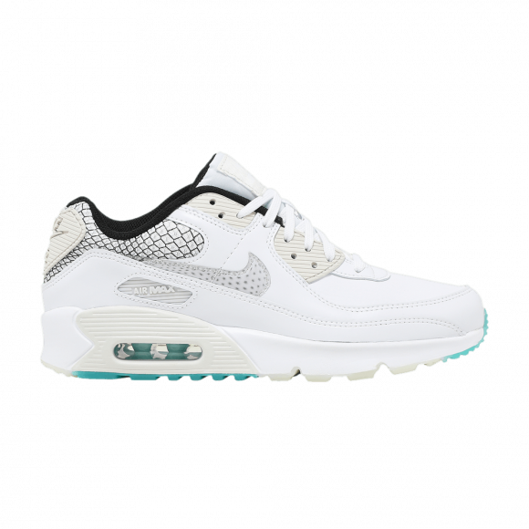Nike Air Max 90 SE 2 GS 'White Glacier Ice' - DB4187-100