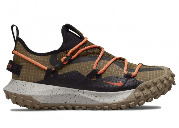 Buty męskie Nike ACG Mountain Fly Low GORE-TEX SE - Brązowy - DD2861-200