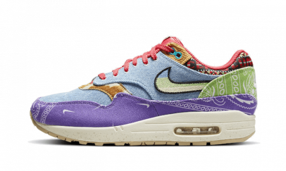 Nike WMNS Air Max 1 All Petals United FQ0256-131