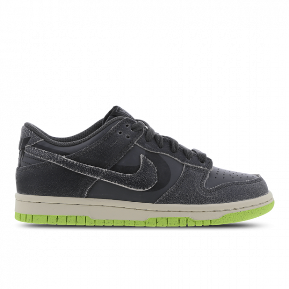 Chaussure Nike Dunk Low SE pour Enfant plus âgé - Gris - DQ6215-001