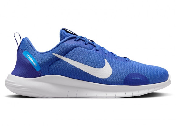 Nike Flex Experience Run 12 Comet Blue Lapis White - DV0740-403