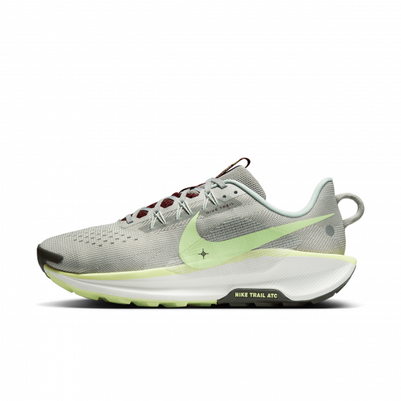 Nike Pegasus Trail 5-trailløbesko til mænd - grå - DV3864-004