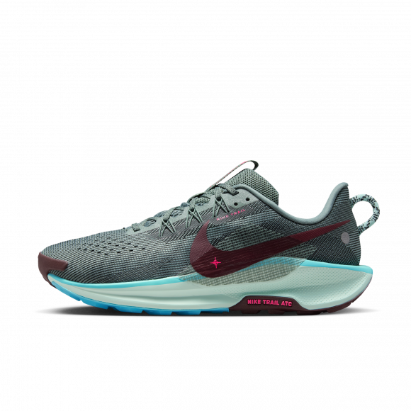 Scarpa da trail running Nike Pegasus Trail 5 – Uomo - Grigio - DV3864-302