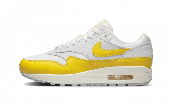 Nike Air Max 1-sko til kvinder - Grå - DX2954-001