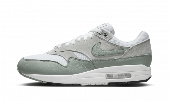 Nike Dunk Low Retro Argon | Nike Max 1 White Mica Green