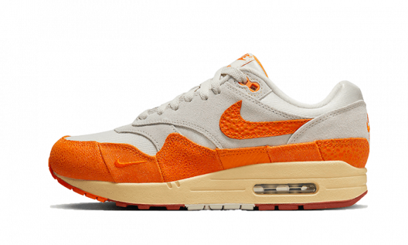 Sapatilhas Nike Air Max 1 para mulher - Cinzento - DZ4709-001