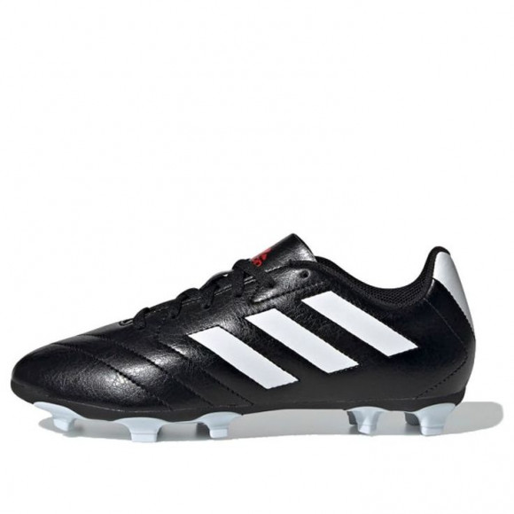 goletto 6 firm ground cleats