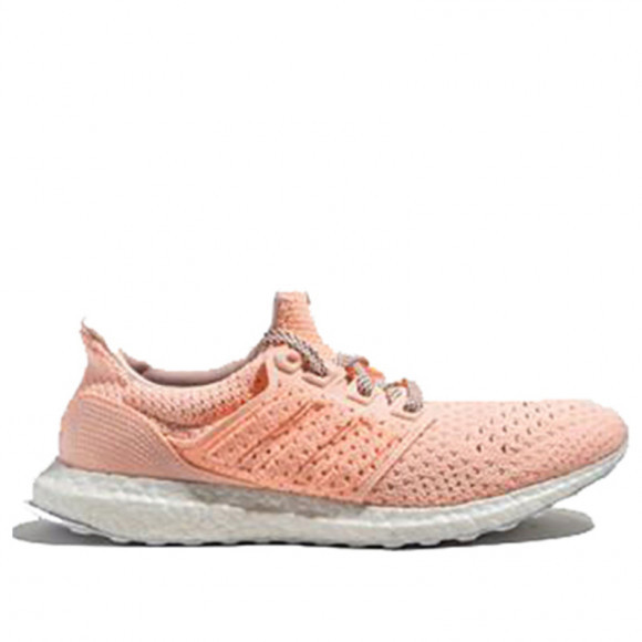 Adidas Ultra Boost Clima V-DAY Marathon Running Shoes/Sneakers EE8909 - EE8909