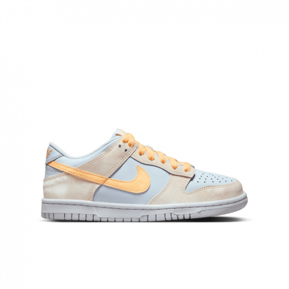 Nike Dunk Low Kinderschoenen - Bruin - FB9109-100