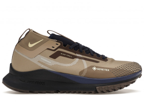 Męskie wodoszczelne buty do biegania w terenie Nike Pegasus Trail 4 GORE-TEX - Brązowy - FD5841-200