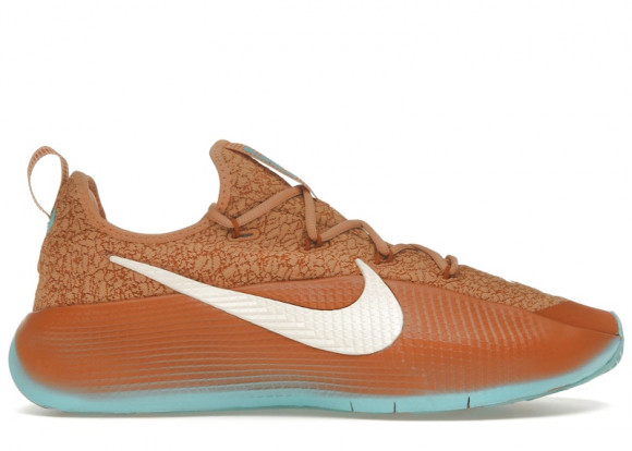 Nike LeBron TR 1 Better With Age - FJ6151-200