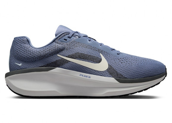 Nike Winflo 11 World Indigo Light Armory Blue - FJ9509-405