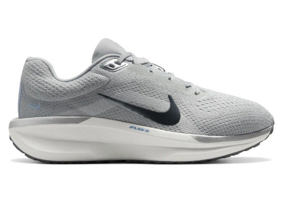 Nike Winflo 11 Light Smoke Grey Metallic Pewter (Women's) - FJ9510-005