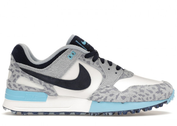 Nike Air Pegasus 89 Golf NRG 'Accept and Embrace Pack' | Blue | Men's Size 9.5 - FN6914-400