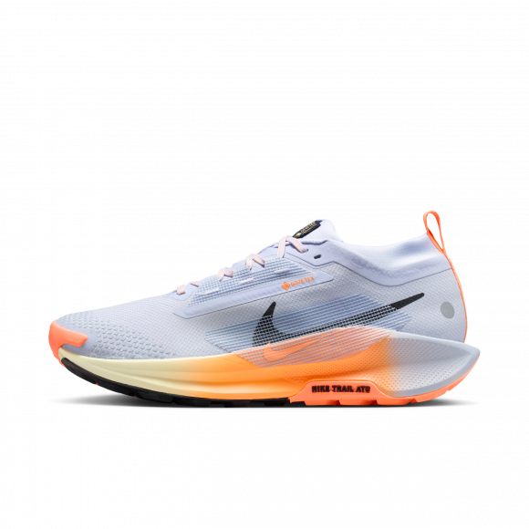 Vandtætte Nike Pegasus Trail 5 GORE-TEX-trailløbesko til mænd - grå - FQ0908-011