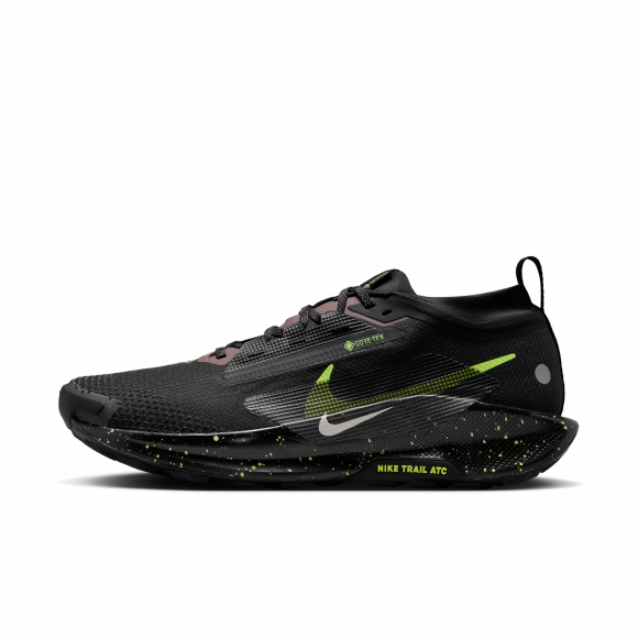 Nike Pegasus Trail 5 GORE-TEXWasserdichter Traillaufschuh (Herren) - Schwarz - FQ0908-014
