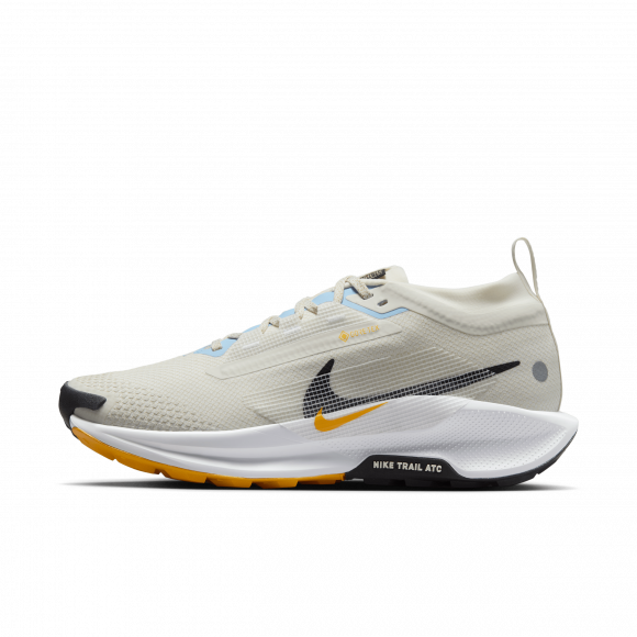 Chaussure de trail imperméable Nike Pegasus Trail 5 GORE-TEX pour femme - Gris - FQ0912-003