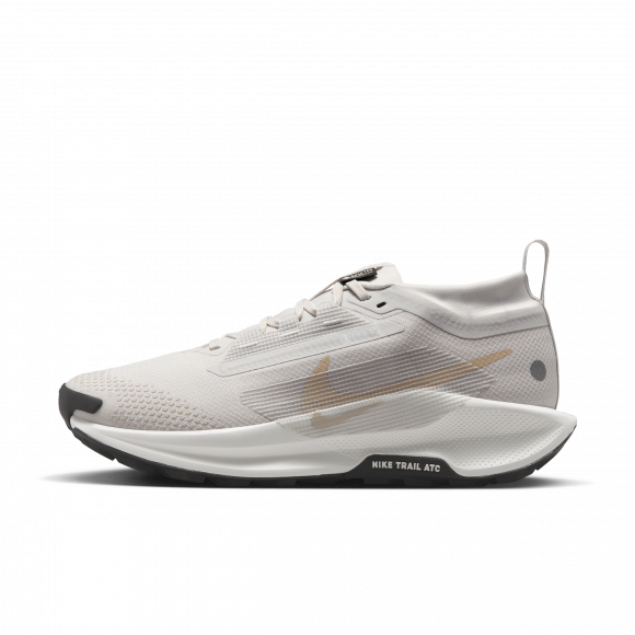 Nike Pegasus Trail 5 GORE-TEX vanntette terrengløpesko til dame - Grå - FQ0912-008