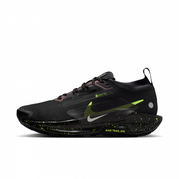 Nike Pegasus Trail 5 GORE-TEXWasserfester Traillaufschuh für Damen - Schwarz - FQ0912-009