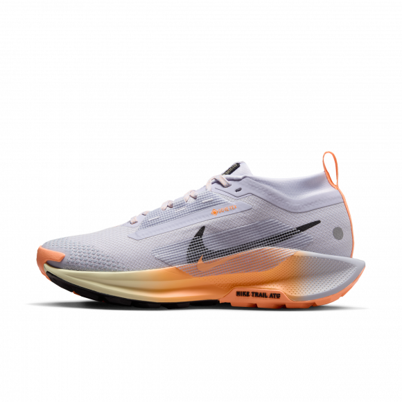 Vandtætte Nike Pegasus Trail 5 GORE-TEX-trailløbesko til kvinder - grå - FQ0912-011