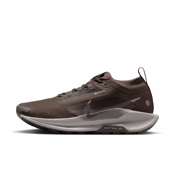 Vandtætte Nike Pegasus Trail 5 GORE-TEX-trailløbesko til kvinder - brun - FQ0912-012