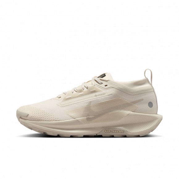 Vandtætte Nike Pegasus Trail 5 GORE-TEX-trailløbesko til kvinder - brun - FQ0912-105