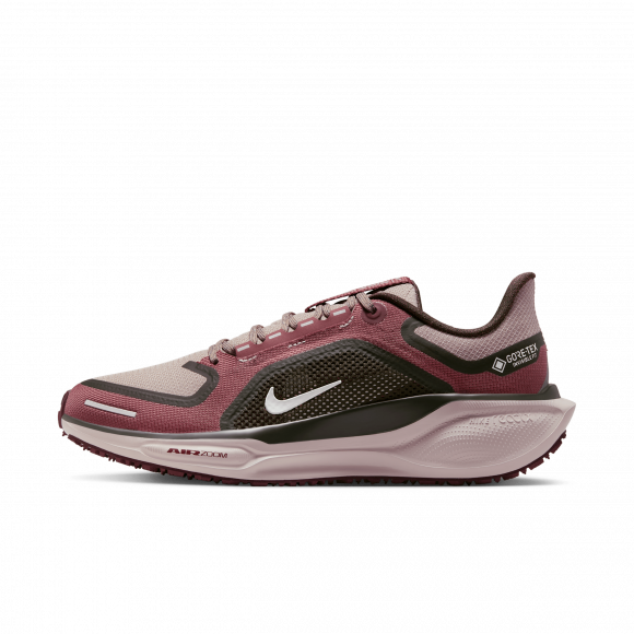 Vandtætte Nike Pegasus 41 GORE-TEX-løbesko til vej til kvinder - brun - FQ1357-200