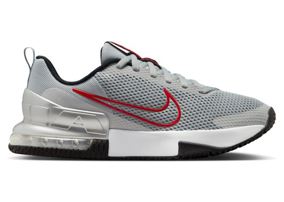 Nike Air Max Alpha Trainer 6 Flat Silver Metallic Silver Black University Red - FQ1833-011