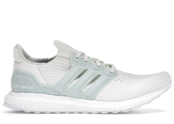 adidas Ultra Boost 6 0 Non Dyed Parley (2021) - FZ0250