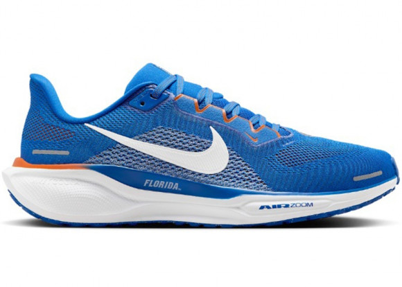 Nike Air Zoom Pegasus 41 Florida - FZ5113-400