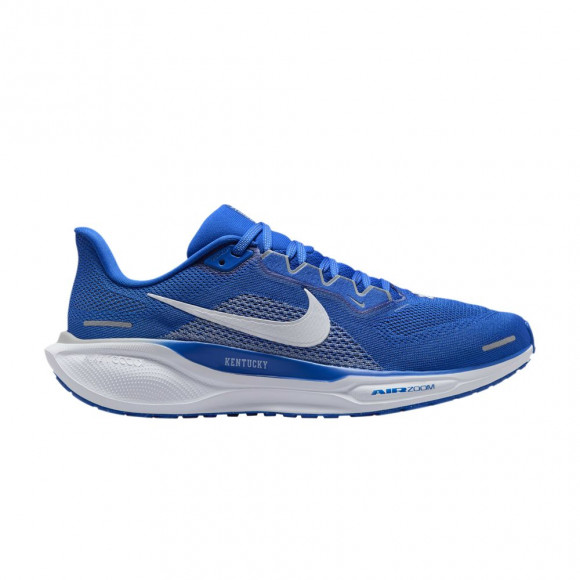 Nike Air Zoom Pegasus 41 'Kentucky' | Blue | Men's Size 10.5 - FZ5117-400