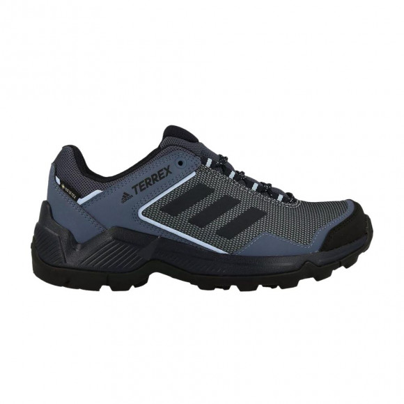 adidas Wmns Terrex Eastrail GORE-TEX 'Ash Grey Legend Ink' | Blue | Women's Size 9.5 - G26539