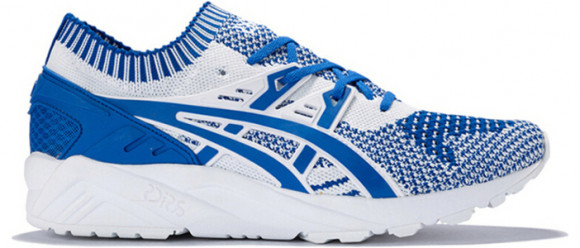 Asics Gel-Kayano Marathon Running Shoes/Sneakers H7S4N-4545 - H7S4N-4545