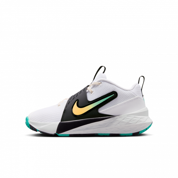Nike Team Hustle D 12 - HF6279-105