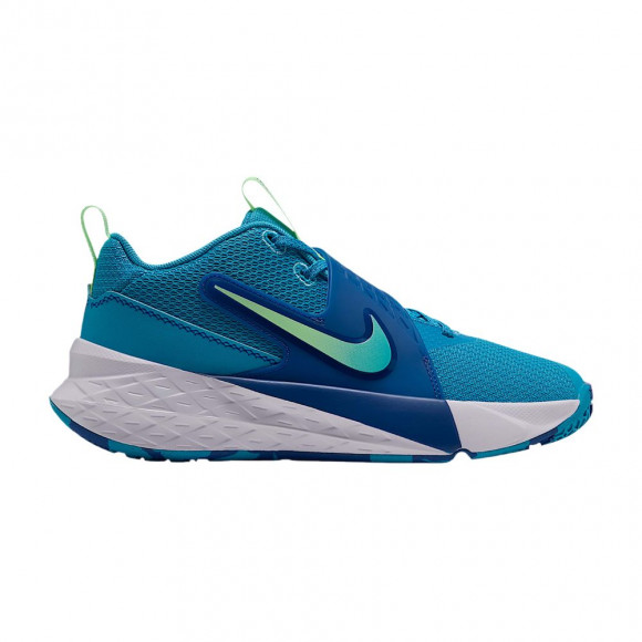 Nike Team Hustle D 12 GS 'Current Blue Game Royal' | Kid's Size 5.5 - HF6279-402