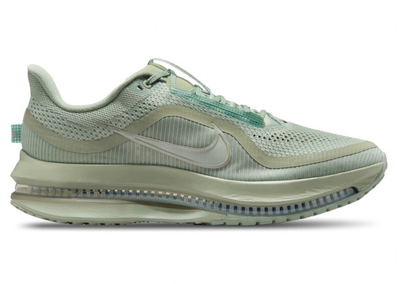 Nike Pegasus Premium 'Jade Horizon' | Green | Men's Size 12 - HQ2592-300