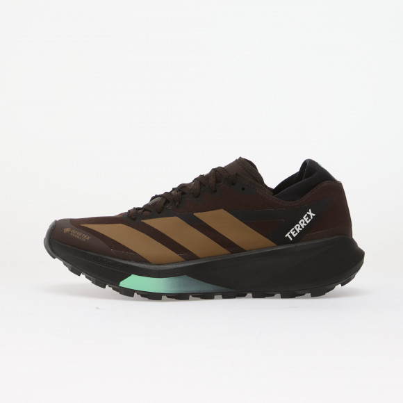 Sneakers adidas TERREX Agravic GTX 2 Aurora Coffee/ Core Black/ Pulse Mint - HQ5088