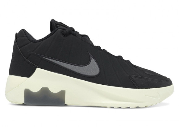 Nike LeBron Witness 9 EP Black Coconut Milk (Solid Outsole) - HQ8035-001