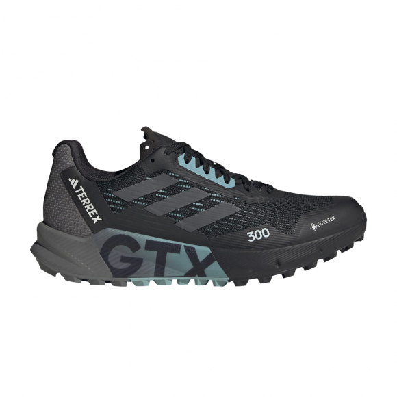 Wmns Terrex Agravic Flow 2.0 GORE-TEX 'Black Light Blue' - HR1145