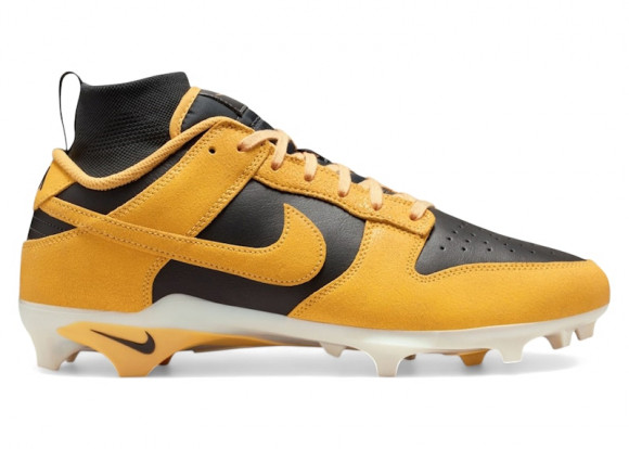 Nike Alpha Menace Dunk Iowa - HV6925-001