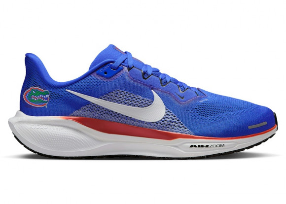 Nike Air Zoom Pegasus 41 Florida Gators - IB3251-400