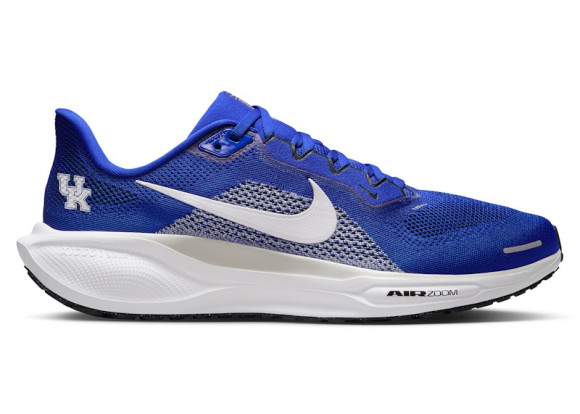 Nike Air Zoom Pegasus 41 Kentucky Wildcats - IB3266-400