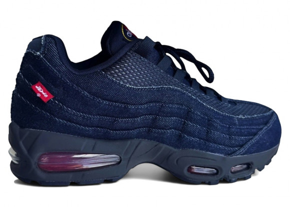 Nike Air Max 95 Special Edition