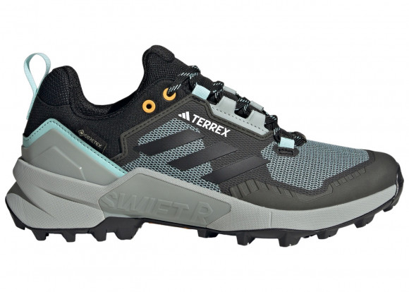 Terrex Swift R3 GORETEX Hiking Shoes