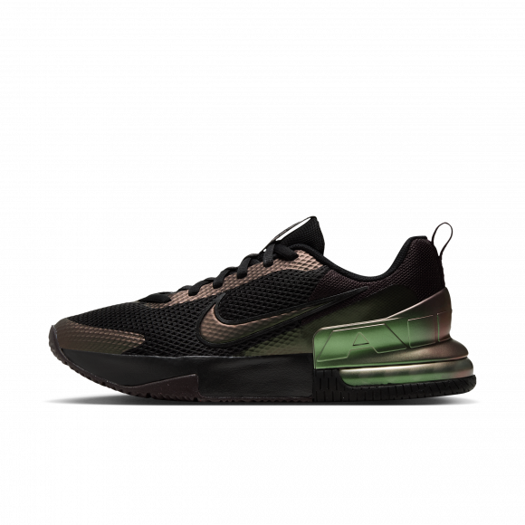 Chaussure d'entraînement Nike Air Max Alpha Trainer 6 Premium pour homme - Noir - IO8101-001