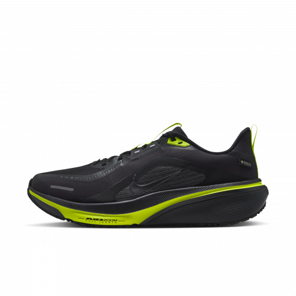 Chaussure de running sur route imperméable Nike Pegasus 42 GORE-TEX pour homme - Noir - IQ0450-001