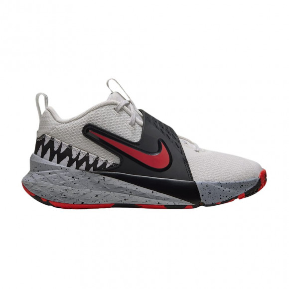 Nike Team Hustle D 12 SE GS 'Summit White Wolf Grey' | Kid's Size 7 - IQ6546-100