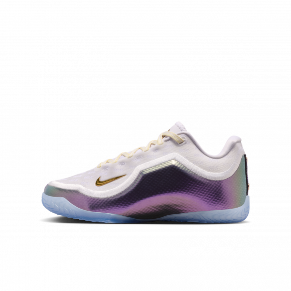 LeBron XXIII ”For The Record” - IV4873-102