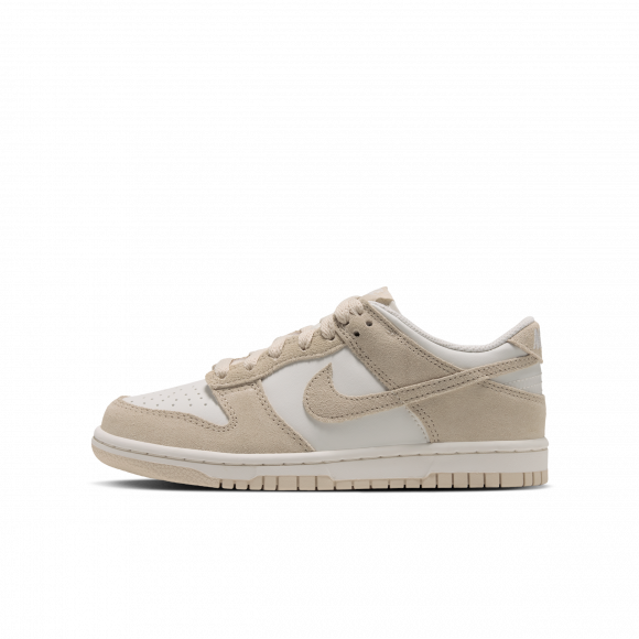 Nike Dunk Low-ruskindssko til større børn - grå - IV4909-001