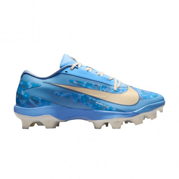 Nike Diamond Standout MCS 'Father's Day' | Blue | Men's Size 11 - IZ7909-400
